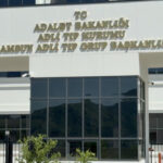 Ihlamur agacindan dusen yasli adam yasamini yitirdi MytMcENs